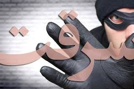 توصیه های پلیس به شهروندان در خصوص پیشگیری از سرقت باغات