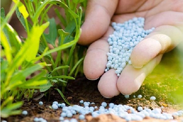 تلاش ها در راستای کاهش بی رویه مصرف سموم کشاورزی ادامه دارد