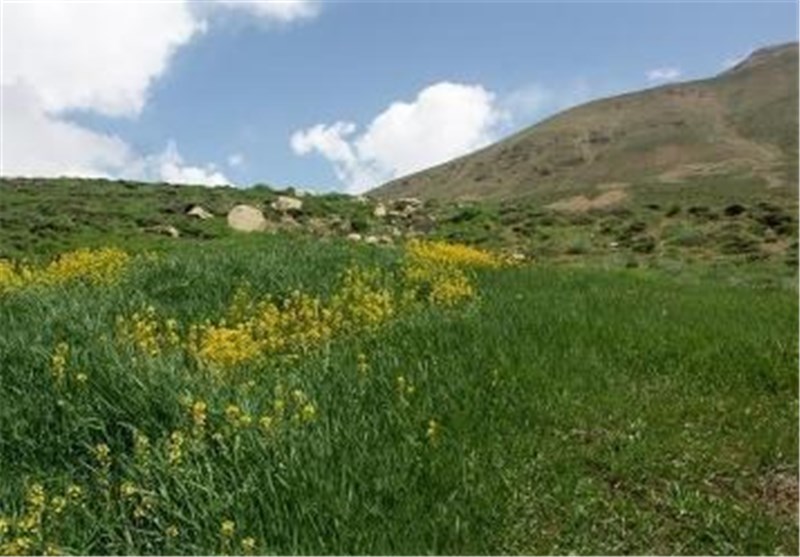بازپس گیری ۲۱۰ هکتار از منابع ملی اقلید از دست زمین خواران