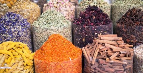  افزایش برداشت گیاهان دارویی در فارس+فیلم