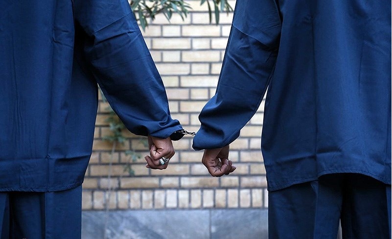 دستگیری سارقان احشام در اقلید
