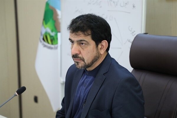 بررسی ظرفیت های منابع طبیعی استان ها در دیدار رییس سازمان جنگل ها با نمایندگان مجلس