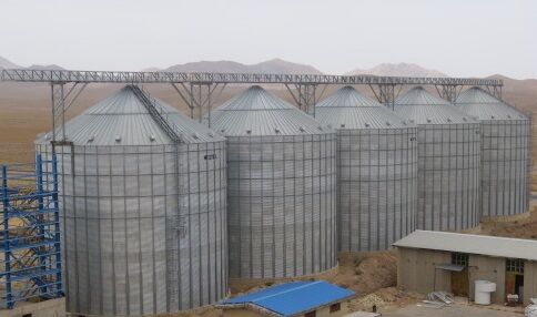 ظرفیت سیلوهای گندم فارس در هفت سال ۲۲۲ هزار تن افزایش یافت