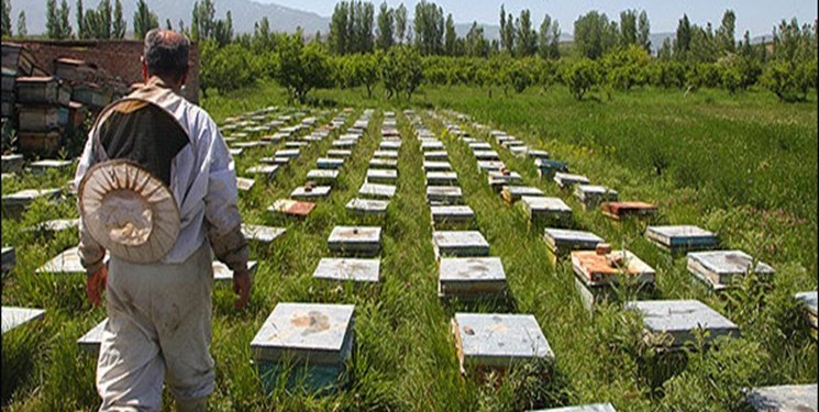 آغاز سرشماری از زنبورستان‌‌های فارس