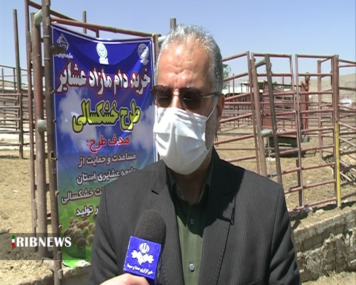 خرید دام مازاد عشایر در فارس